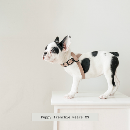 Minimalist Adjustable Pet Harness