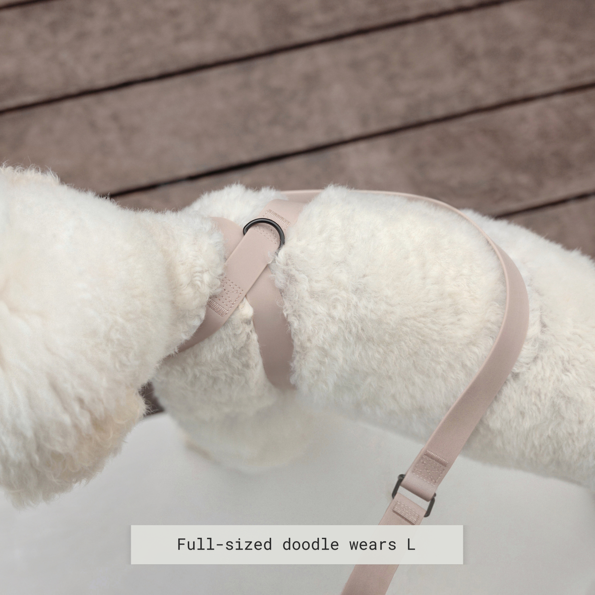 Minimalist Adjustable Pet Harness