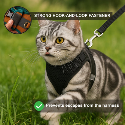 Comfort No-Pull Pet Harness & Leash Set