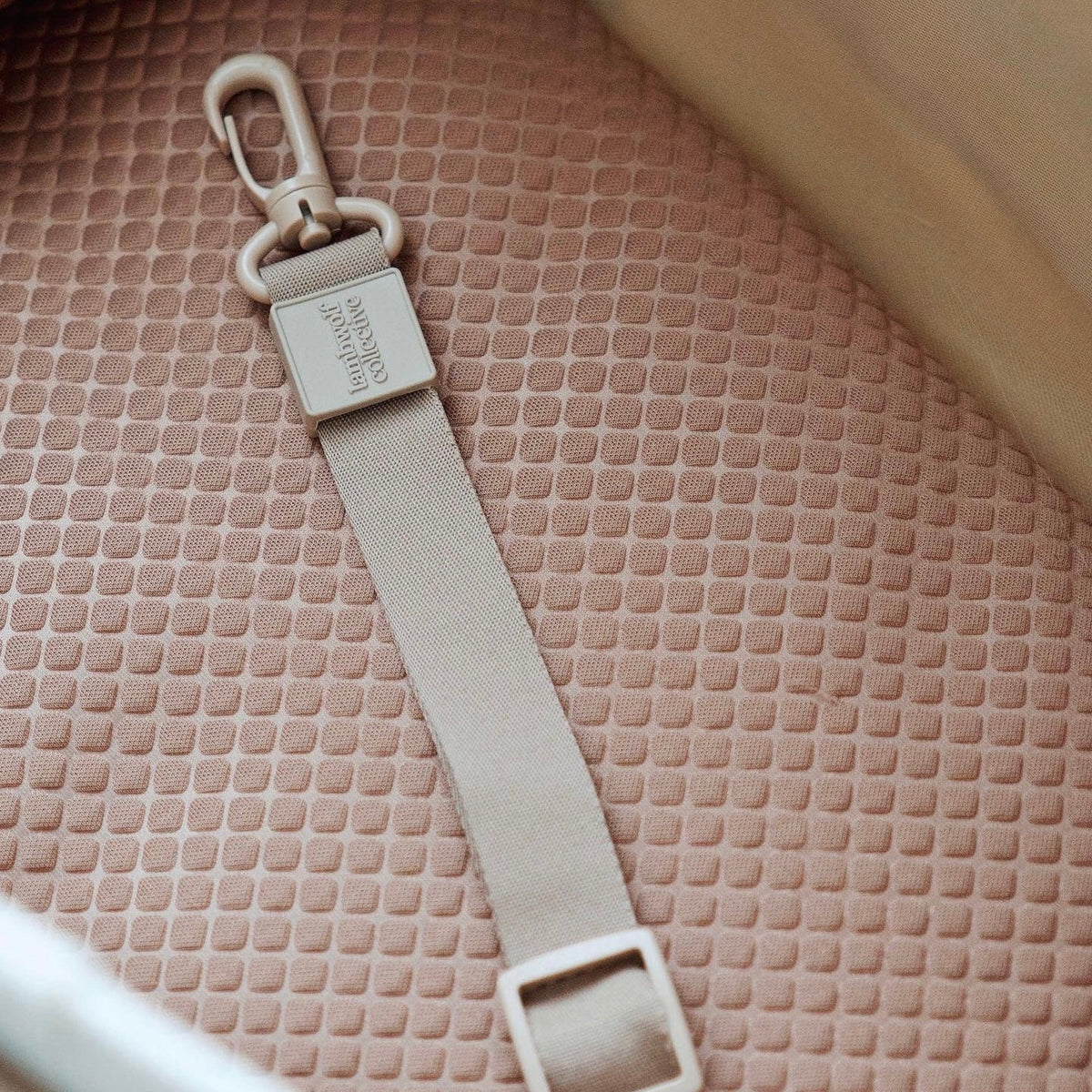 Soft-Sided Pet Carrier Tote