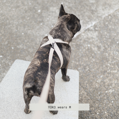 Minimalist Adjustable Pet Harness