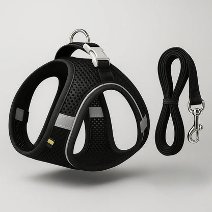 Comfort No-Pull Pet Harness & Leash Set