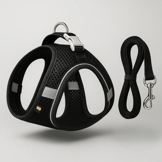 Comfort No-Pull Pet Harness & Leash Set