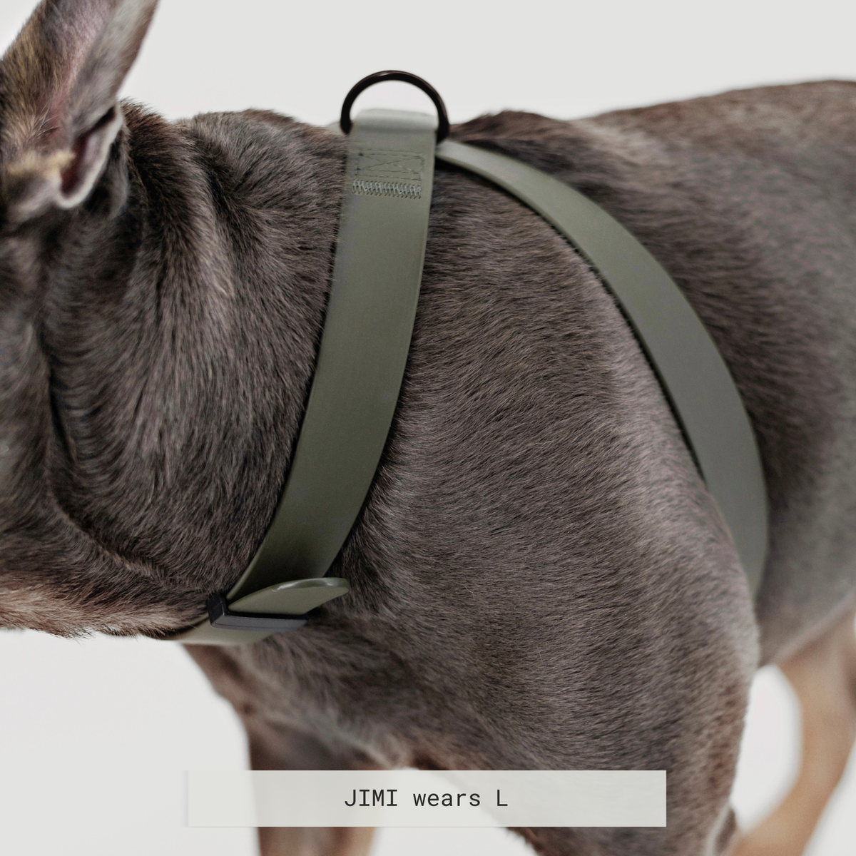 Minimalist Adjustable Pet Harness