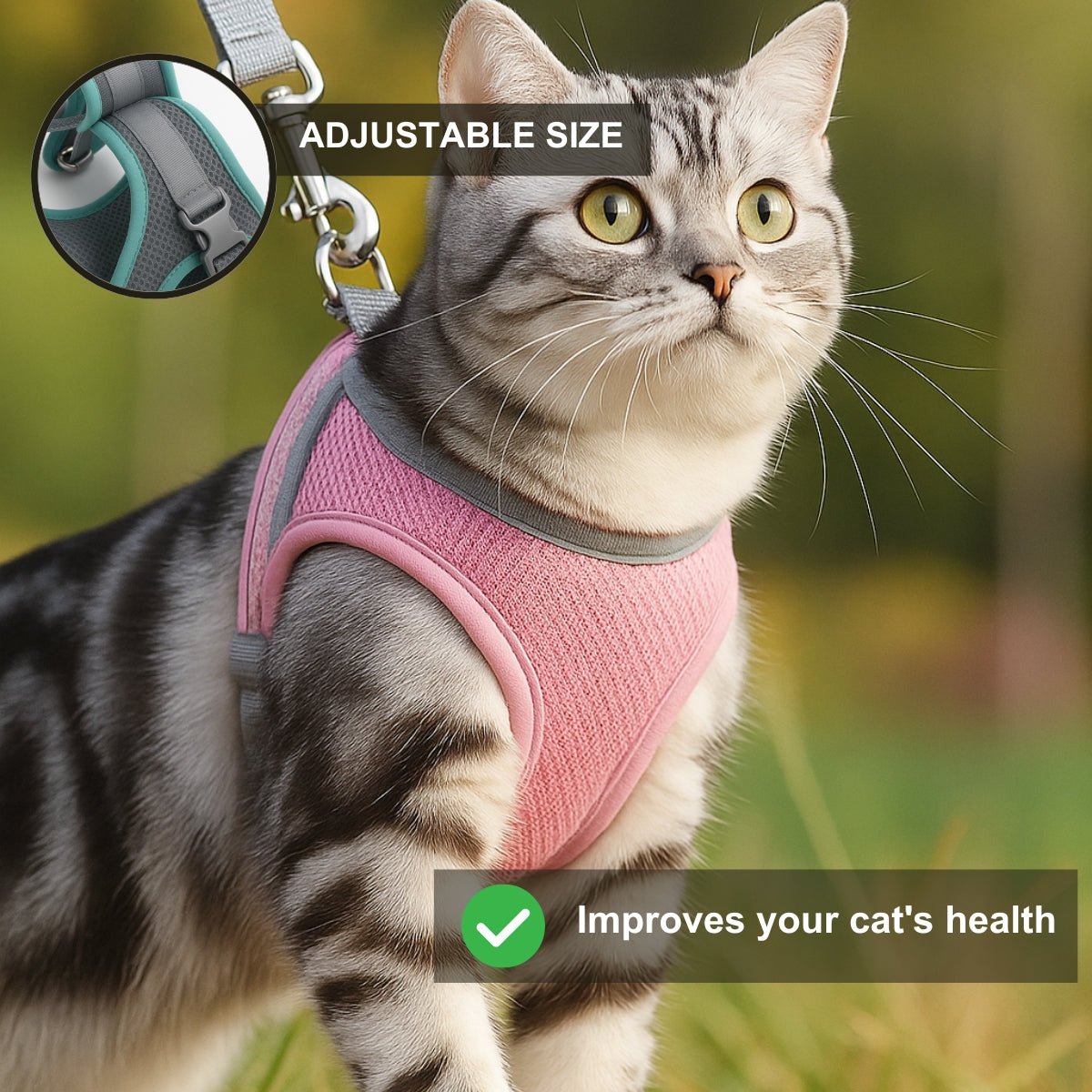 Comfort No-Pull Pet Harness & Leash Set