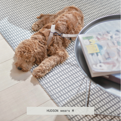 Minimalist Adjustable Pet Harness