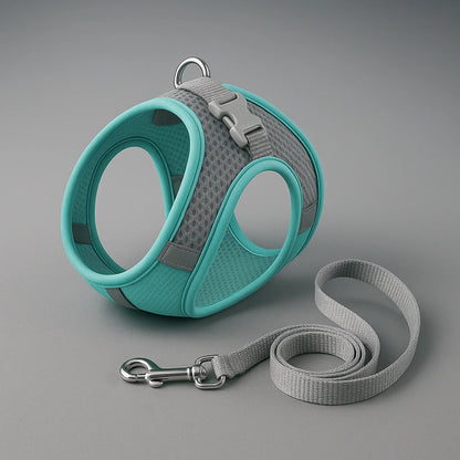 Comfort No-Pull Pet Harness & Leash Set