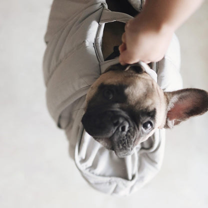 2-in-1 Portable Pet Travel Bed & Carrier Tote