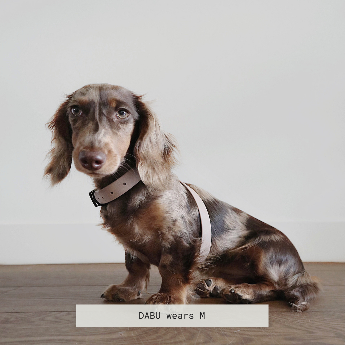Minimalist Adjustable Pet Harness