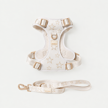 Adjustable Star Pet Harness & Leash Set