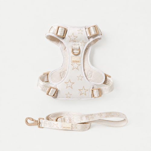 Adjustable Star Pet Harness & Leash Set