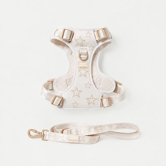 Adjustable Star Pet Harness & Leash Set