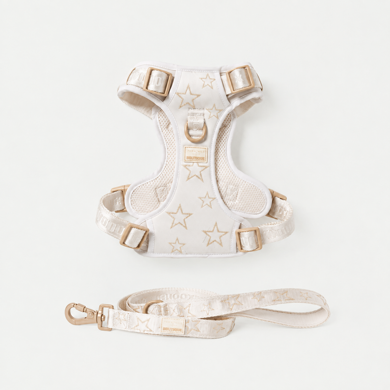 Adjustable Star Pet Harness & Leash Set