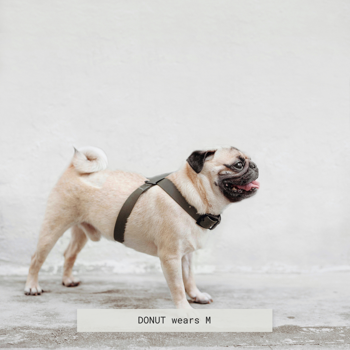 Minimalist Adjustable Pet Harness