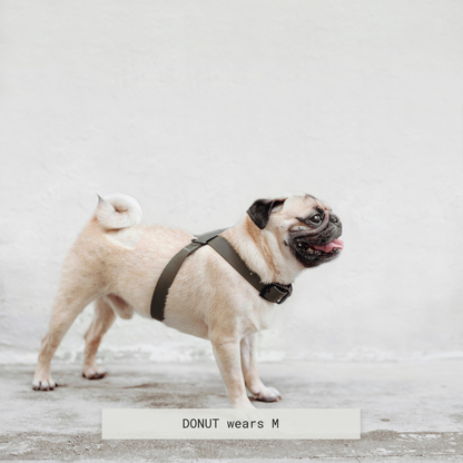 Minimalist Adjustable Pet Harness