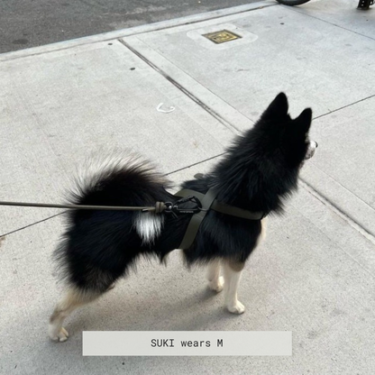 Minimalist Adjustable Pet Harness