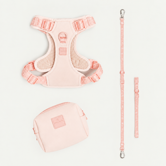 Premium 4-Piece Pet Walking Set