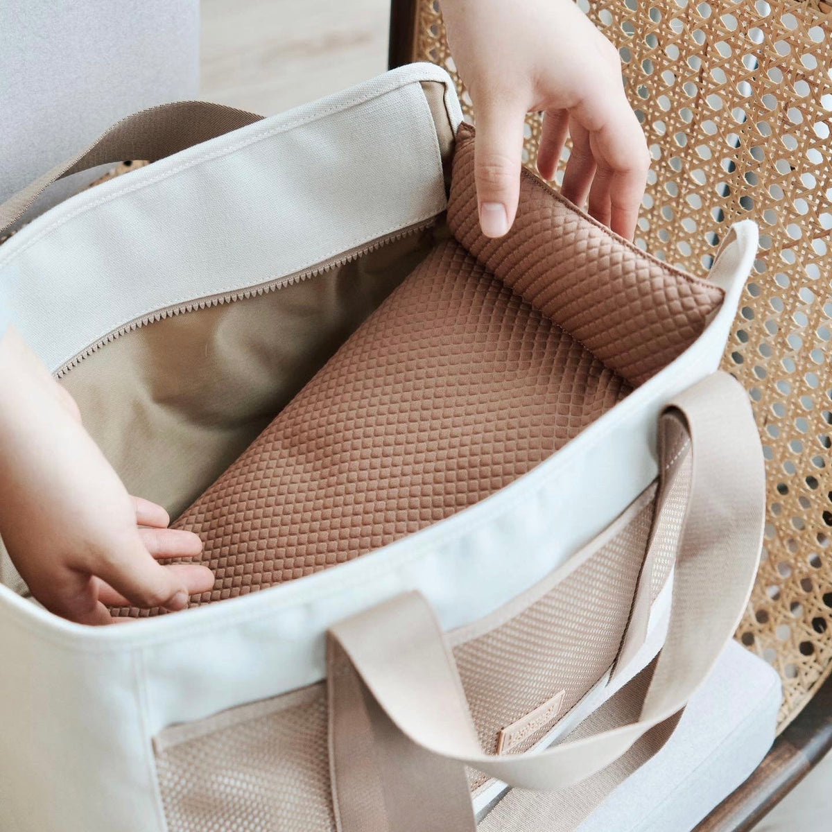 Soft-Sided Pet Carrier Tote