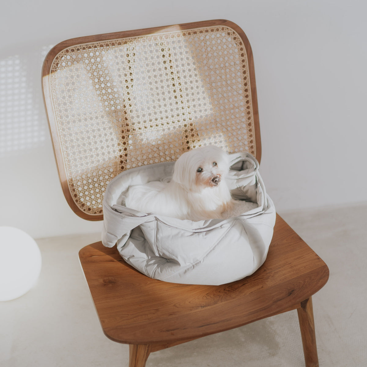 2-in-1 Portable Pet Travel Bed & Carrier Tote
