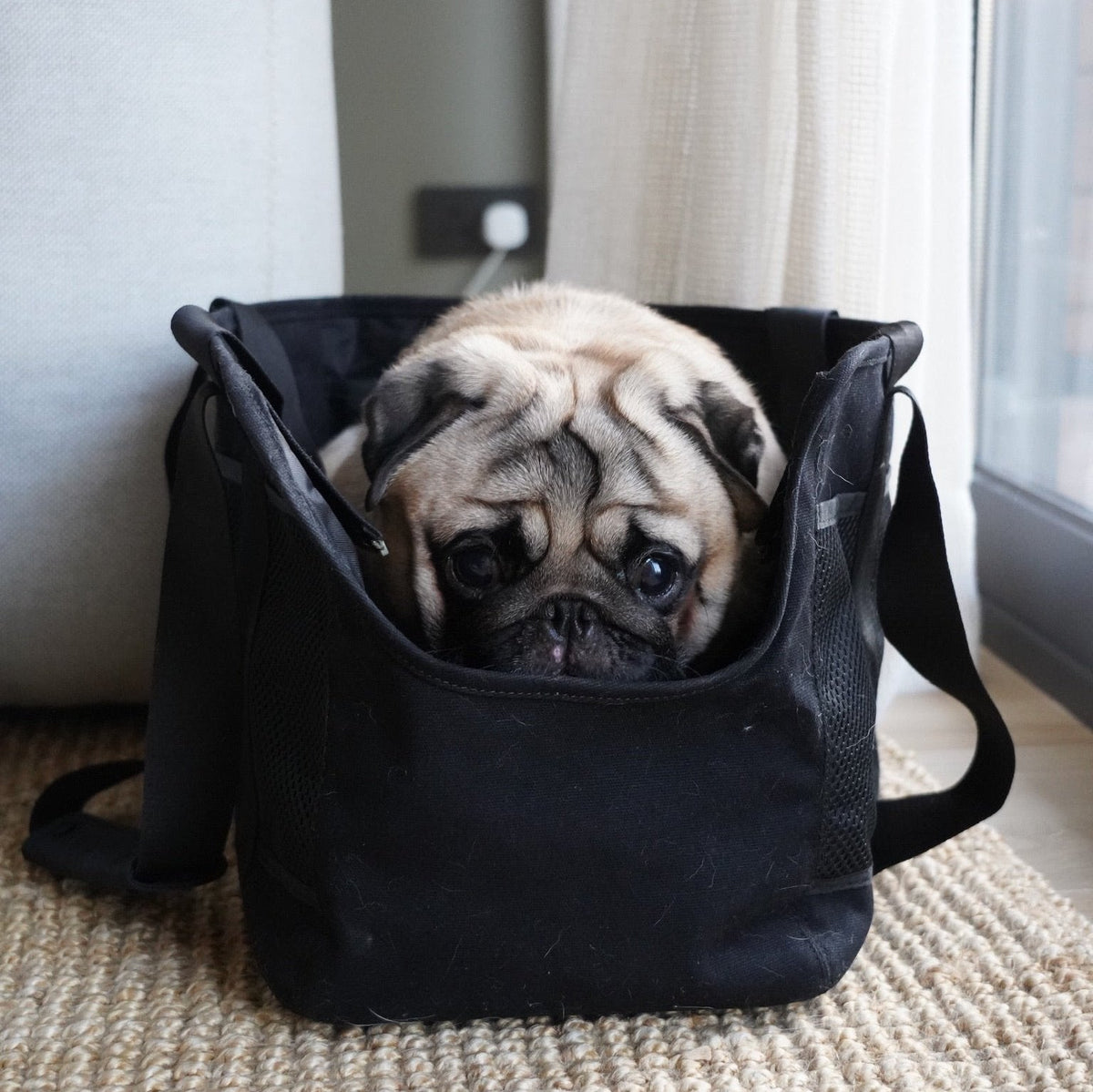 Open-Top Pet Carrier Tote Bag