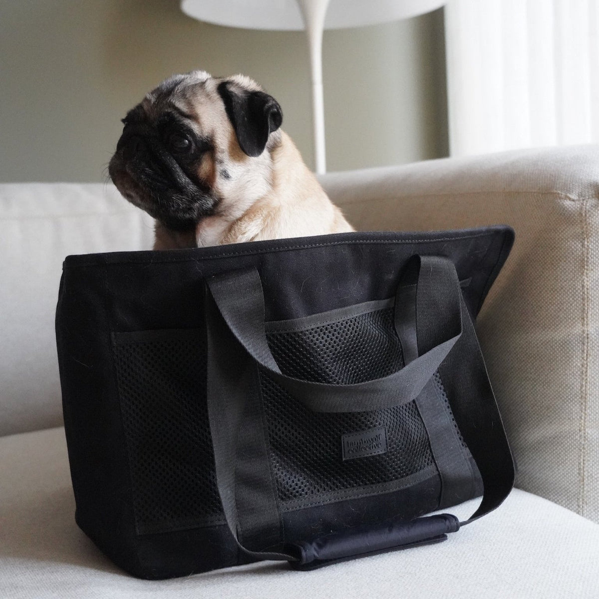 Open-Top Pet Carrier Tote Bag