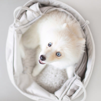 2-in-1 Portable Pet Travel Bed & Carrier Tote