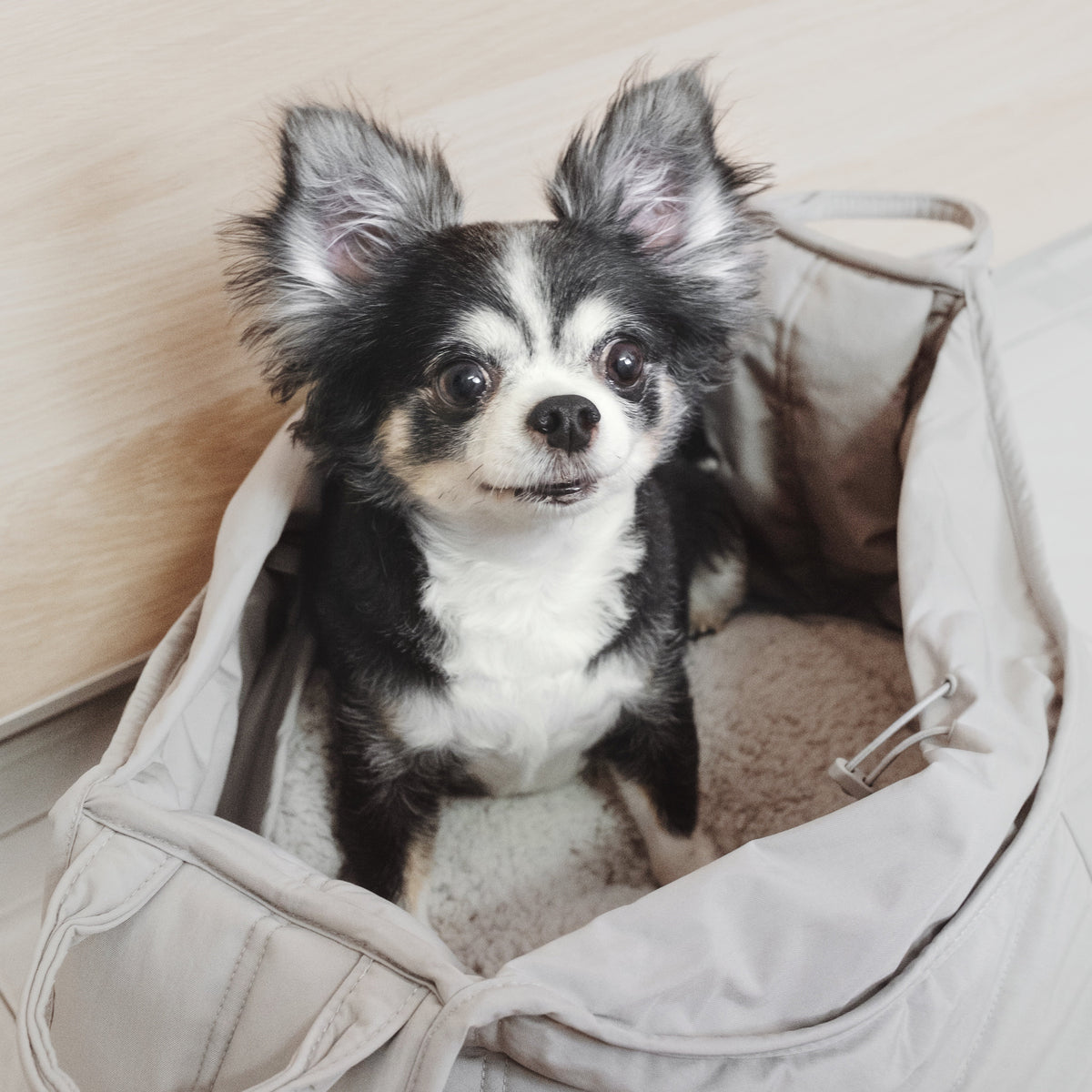 2-in-1 Portable Pet Travel Bed & Carrier Tote