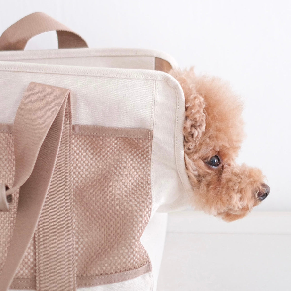 Soft-Sided Pet Carrier Tote