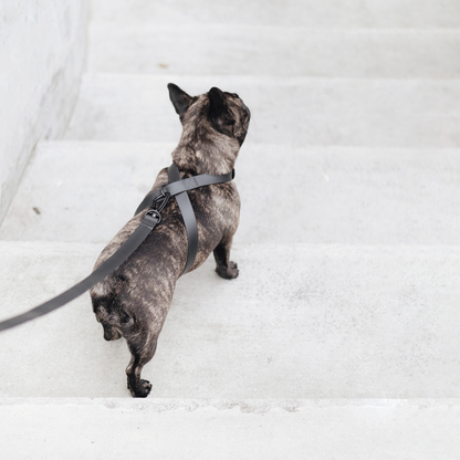 Minimalist Adjustable Pet Harness