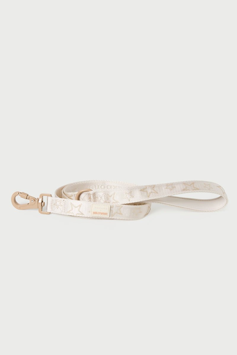 Adjustable Star Pet Harness & Leash Set