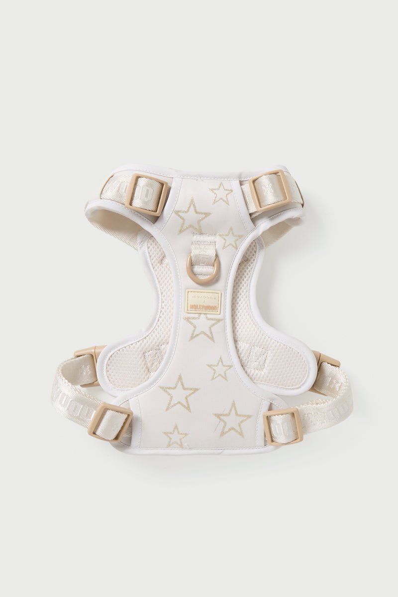 Adjustable Star Pet Harness & Leash Set