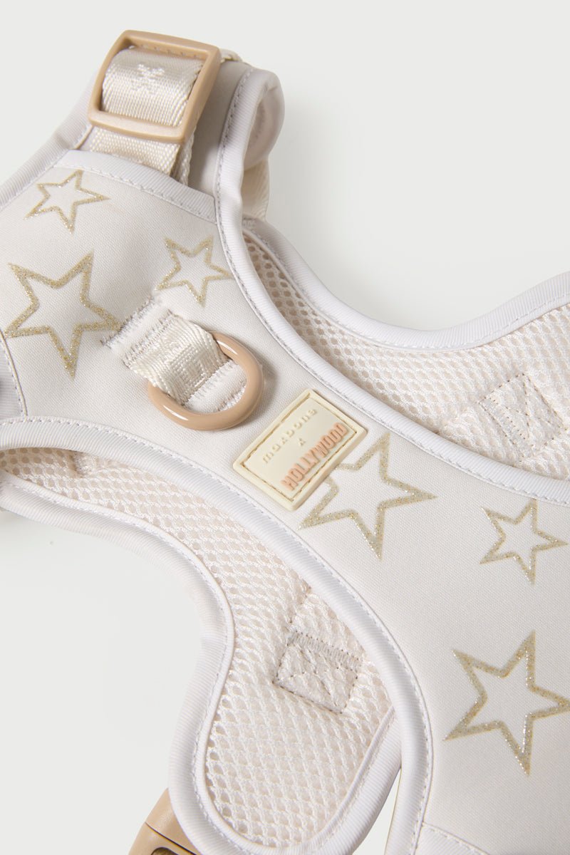 Adjustable Star Pet Harness & Leash Set