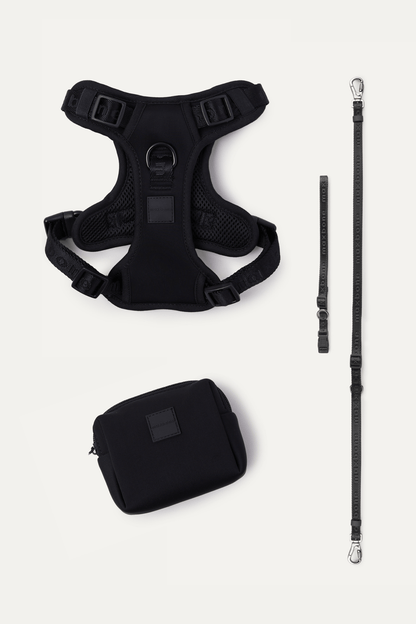 Premium 4-Piece Pet Walking Set