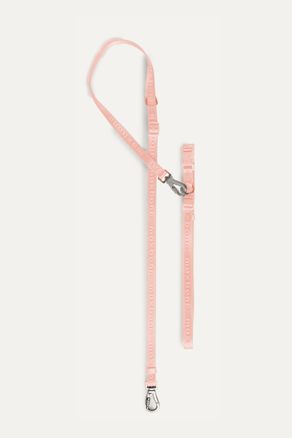 Premium 4-Piece Pet Walking Set