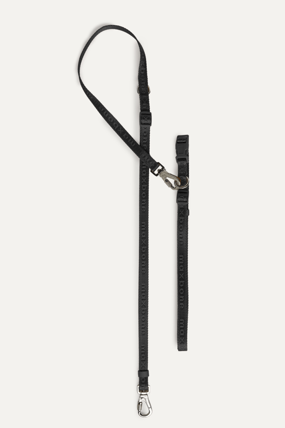 Premium 4-Piece Pet Walking Set
