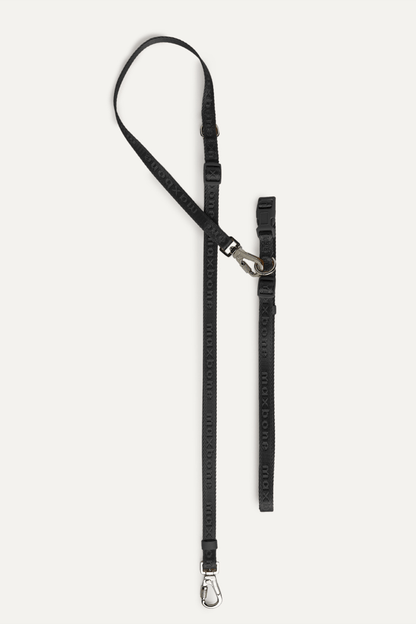 Premium 4-Piece Pet Walking Set