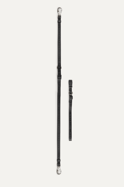 Premium 4-Piece Pet Walking Set