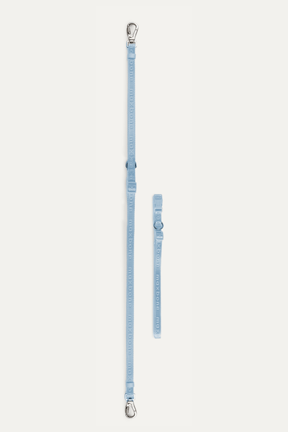 Premium 4-Piece Pet Walking Set