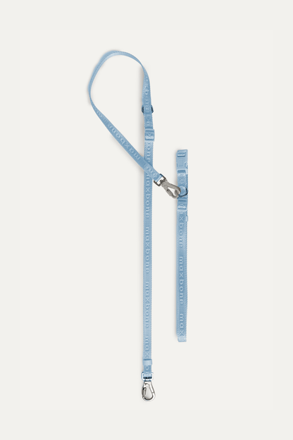Premium 4-Piece Pet Walking Set