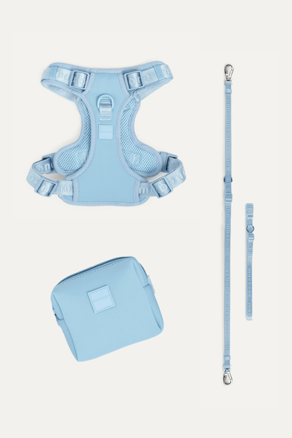 Premium 4-Piece Pet Walking Set