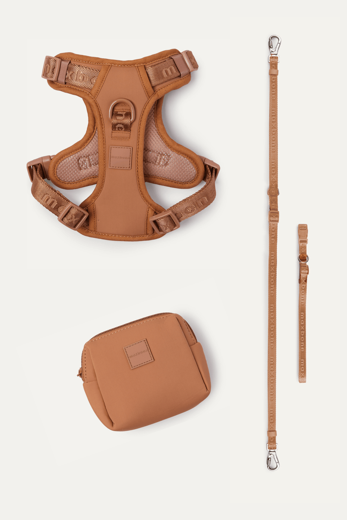 Premium 4-Piece Pet Walking Set