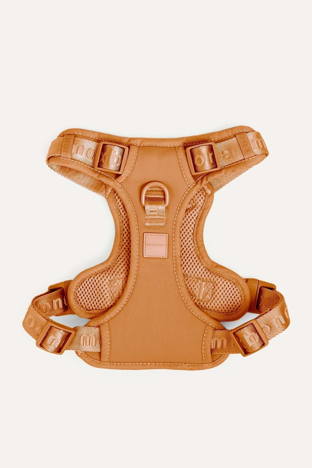 Premium 4-Piece Pet Walking Set