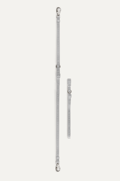 Premium 4-Piece Pet Walking Set