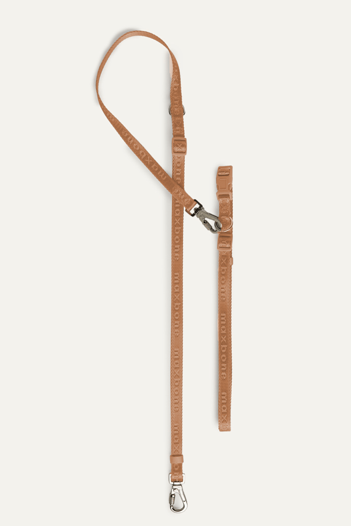 Premium 4-Piece Pet Walking Set