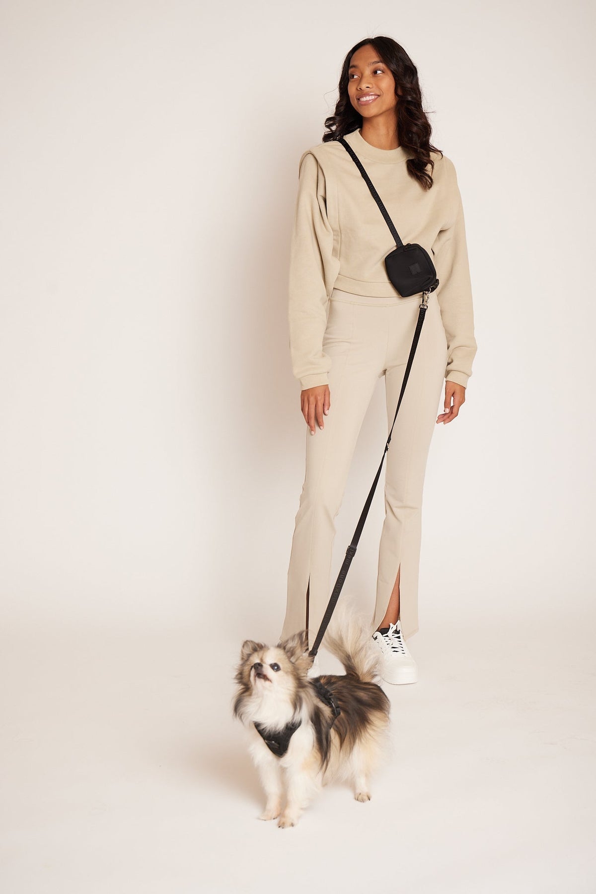 Premium 4-Piece Pet Walking Set