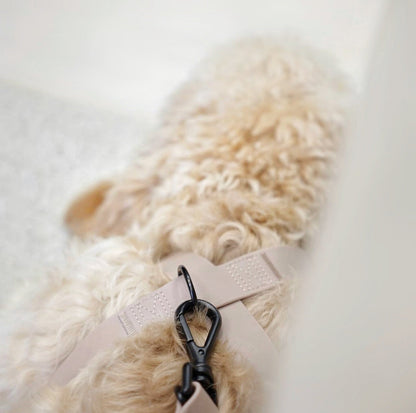 Minimalist Adjustable Pet Harness