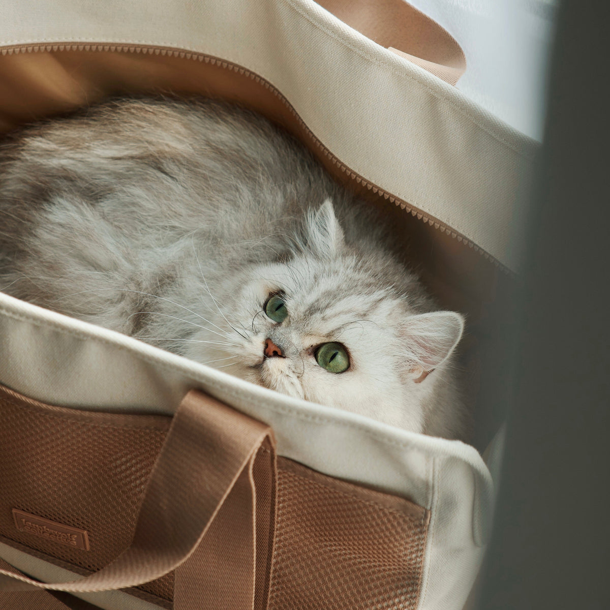 Soft-Sided Pet Carrier Tote
