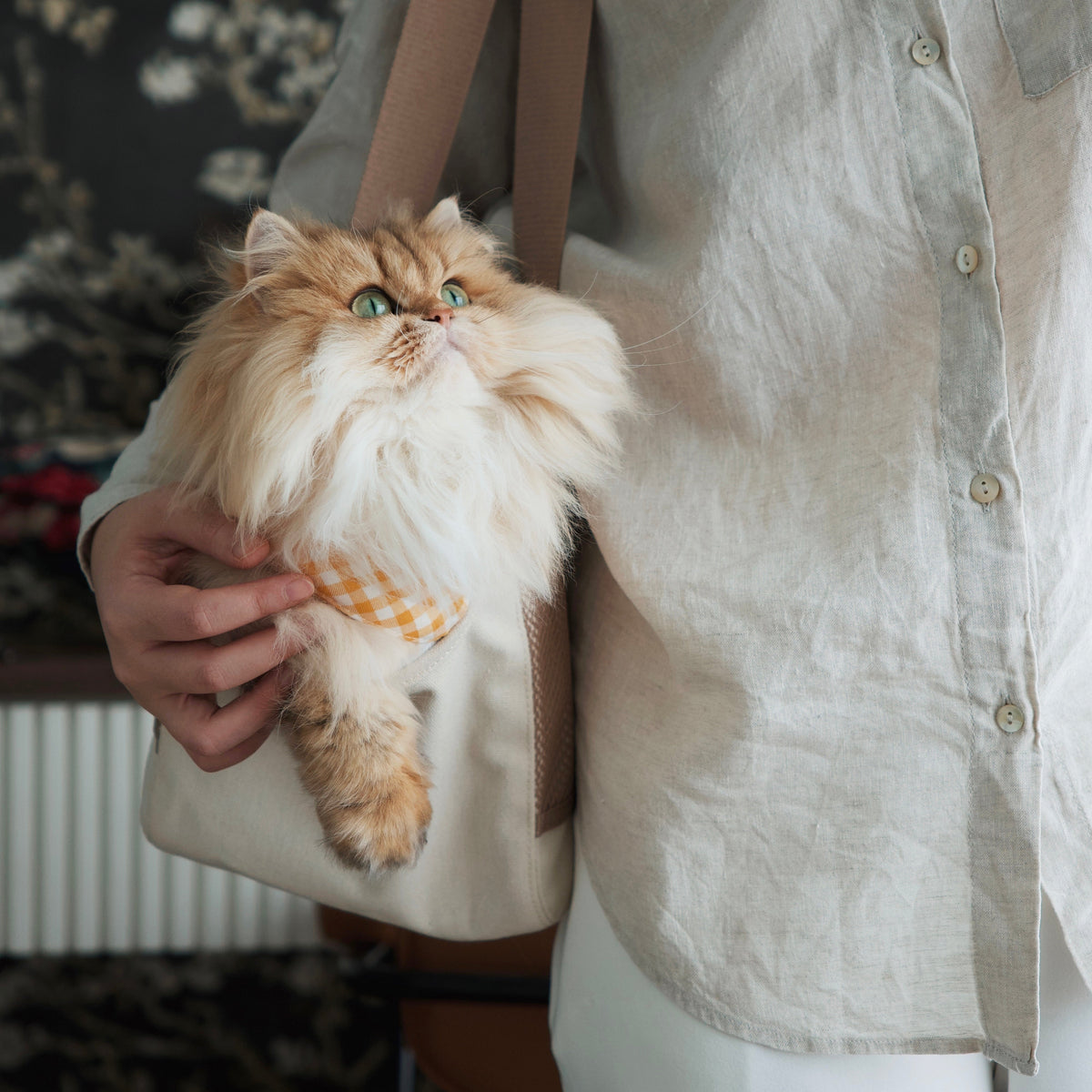 Soft-Sided Pet Carrier Tote