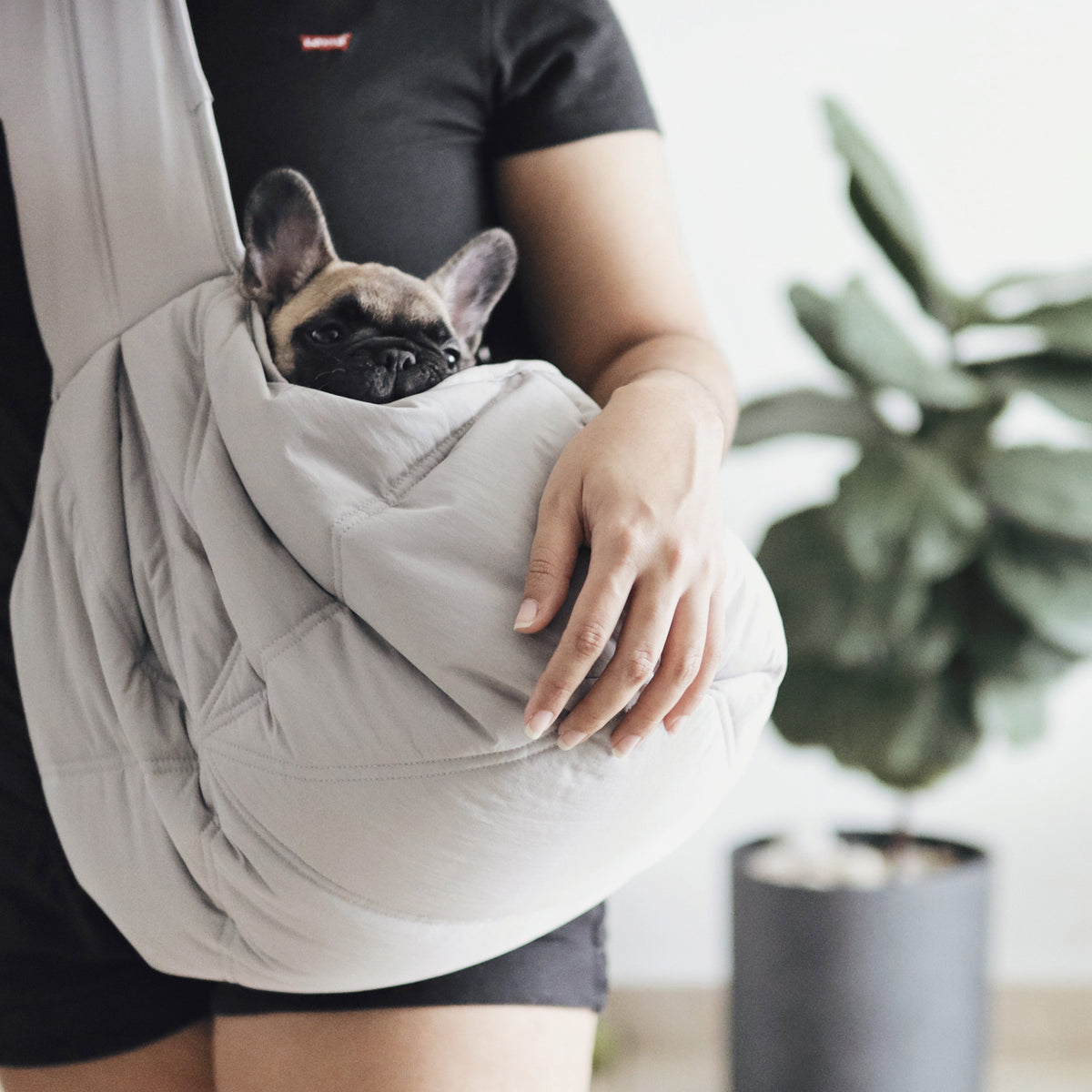 2-in-1 Portable Pet Travel Bed & Carrier Tote